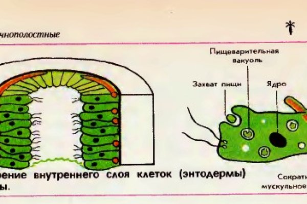 Kraken тор k2tor