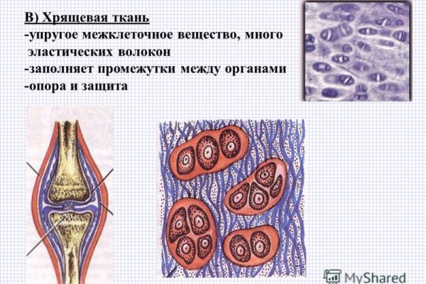 Кракен даркне vtor run